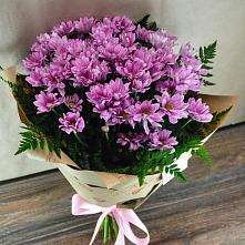 Букет цветов из:  Хризантемы #REPLACE_PRED# Заиграево
