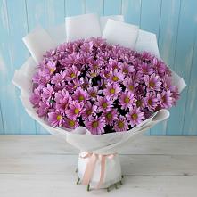 Букет цветов из:  Хризантемы #REPLACE_PRED# Заиграево