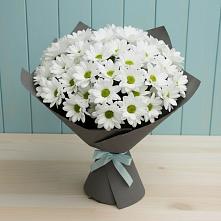 Букет цветов из:  Хризантемы #REPLACE_PRED# Заиграево