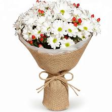 Букет цветов из:  Хризантемы #REPLACE_PRED# Заиграево
